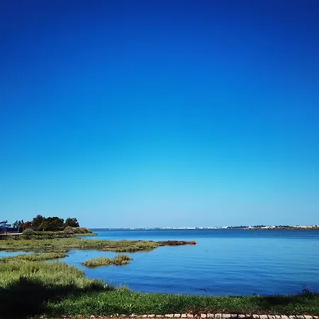 The Whole Villa, Near A Large Park And A Quiet Beach *