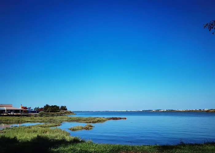 The Whole Villa, Near A Large Park And A Quiet Beach *